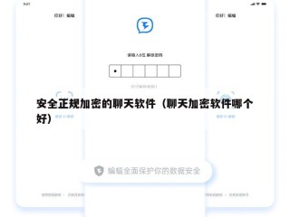 安全正规加密的聊天软件（聊天加密软件哪个好）