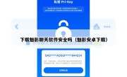 下载魅影聊天软件安全吗（魅影安卓下载）