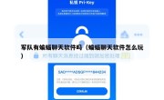 军队有蝙蝠聊天软件吗（蝙蝠聊天软件怎么玩）