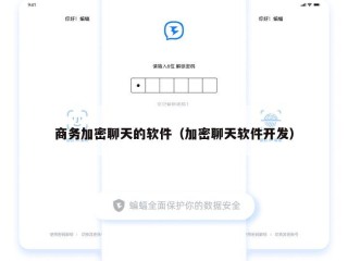 商务加密聊天的软件（加密聊天软件开发）