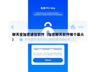 聊天室加密通信软件（加密聊天软件哪个最火）