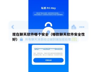 现在聊天软件哪个安全（哪款聊天软件安全性好）