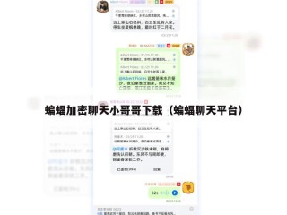 蝙蝠加密聊天小哥哥下载（蝙蝠聊天平台）