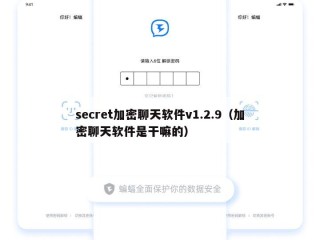 secret加密聊天软件v1.2.9（加密聊天软件是干嘛的）