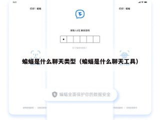 蝙蝠是什么聊天类型（蝙蝠是什么聊天工具）