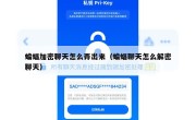 蝙蝠加密聊天怎么弄出来（蝙蝠聊天怎么解密聊天）