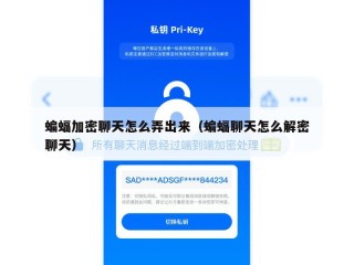 蝙蝠加密聊天怎么弄出来（蝙蝠聊天怎么解密聊天）