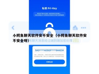 小鳄鱼聊天软件安不安全（小鳄鱼聊天软件安不安全呀）