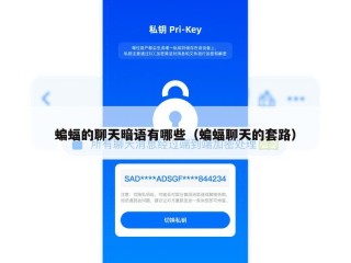 蝙蝠的聊天暗语有哪些（蝙蝠聊天的套路）