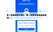 萝卜密聊用别人账号（萝卜玩账号容易被找回吗）