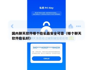 国内聊天软件哪个隐私最安全可靠（哪个聊天软件隐私好）