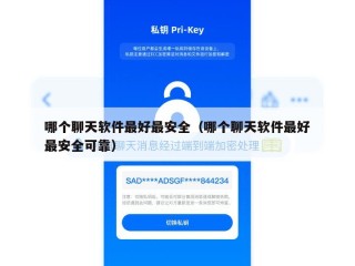 哪个聊天软件最好最安全（哪个聊天软件最好最安全可靠）