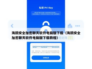 海鸥安全加密聊天软件电脑版下载（海鸥安全加密聊天软件电脑版下载教程）