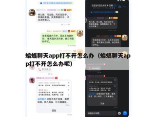 蝙蝠聊天app打不开怎么办（蝙蝠聊天app打不开怎么办呢）