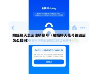 蝙蝠聊天怎么注销账号（蝙蝠聊天账号销毁后怎么找回）