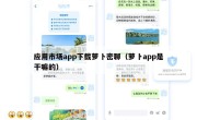 应用市场app下载萝卜密聊（萝卜app是干嘛的）