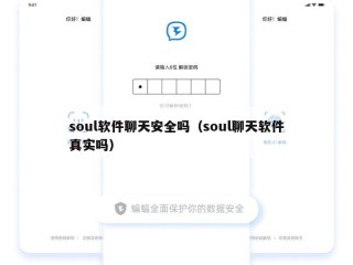 soul软件聊天安全吗（soul聊天软件真实吗）