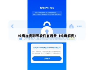 维度加密聊天软件有哪些（维度解密）