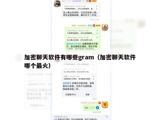 加密聊天软件有哪些gram（加密聊天软件哪个最火）