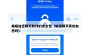 蝙蝠加密聊天软件的安全性（蝙蝠聊天真的加密吗）