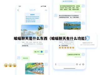蝙蝠聊天是什么东西（蝙蝠聊天有什么功能）