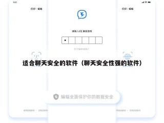 适合聊天安全的软件（聊天安全性强的软件）