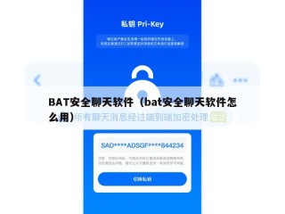 BAT安全聊天软件（bat安全聊天软件怎么用）
