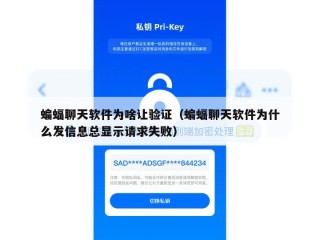蝙蝠聊天软件为啥让验证（蝙蝠聊天软件为什么发信息总显示请求失败）