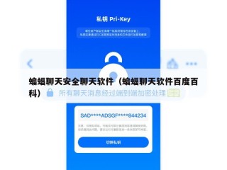 蝙蝠聊天安全聊天软件（蝙蝠聊天软件百度百科）